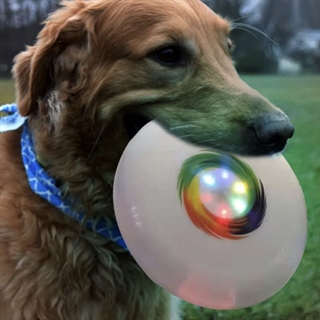 LED frisbee med multifarvet lys - Ø 26 CM